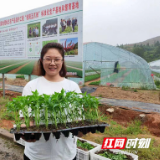 乡村追梦人丨张惠影：一位来自东北的湖南“辣妹”