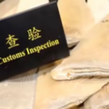 旅客携带濒危动物鱼翅过关 青茂海关及时查获