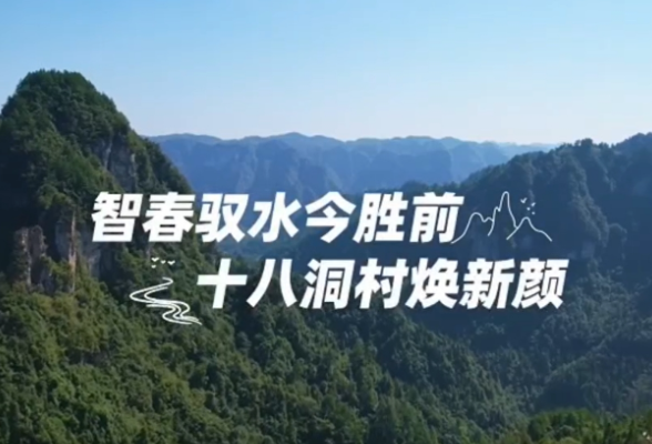 当十八洞村的“青山绿水”走进进博会……