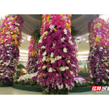 盛世花开 美丽湖南：第二届湖南花卉苗木博览会在湘潭开幕