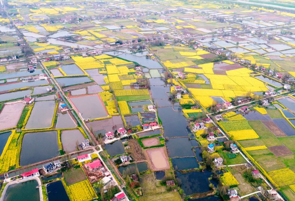 安乡县筑牢农村现代化建设文化根基