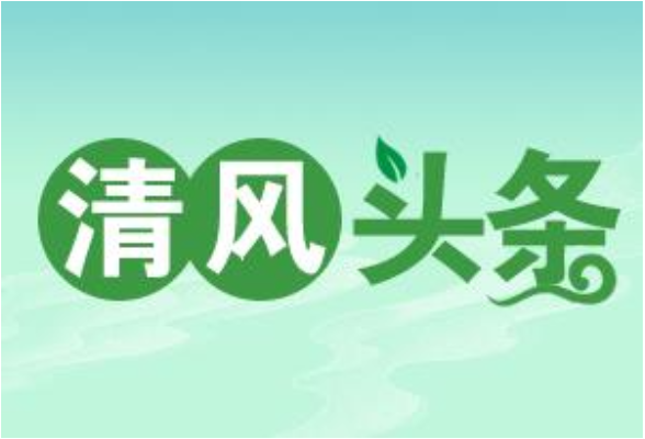 清风头条丨新田：做深做实乡村振兴“末梢监督”