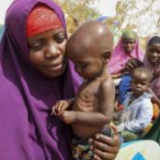 世粮署：苏丹2500万人营养不良，其中1800万人严重饥饿
