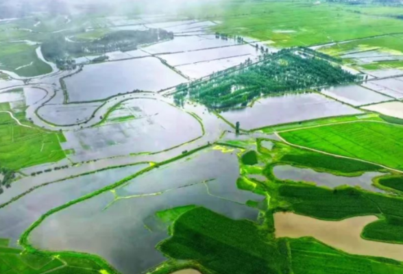 首批中国农耕农品记忆索引名录发布 湖南12个品牌农产品入选