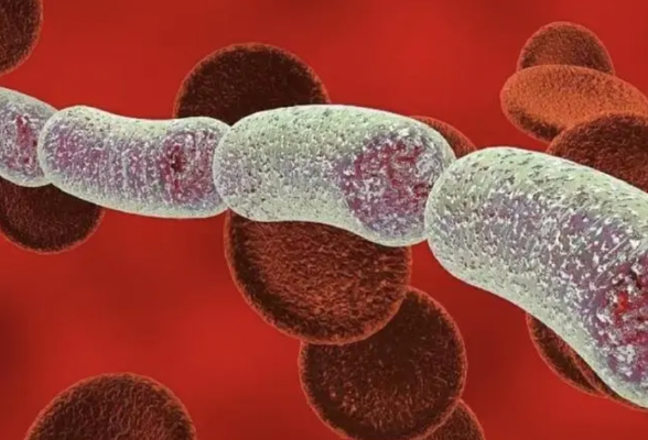正在日本蔓延的“食人菌”感染症是什么