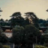 屋檐上的文脉·遇上“Z世代”——佛光寺