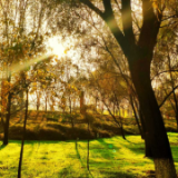 金风为何能送爽?南方和北方的风有啥不一样?