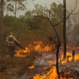 干旱致火灾频发 巴西里约州暂时关闭所有生态公园