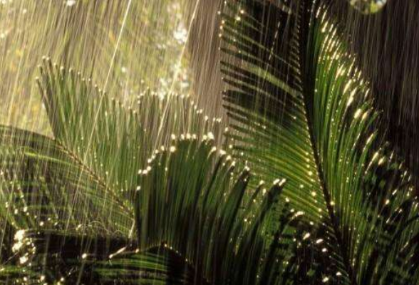 降温、降雨、大风马上到长沙！浏阳东南部将有暴雨