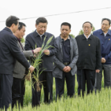 改革·印记丨让农民吃上“定心丸”