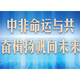 图览｜中非命运与共，奋楫扬帆向未来