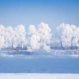 松花江畔雾凇美成了冰雪世界