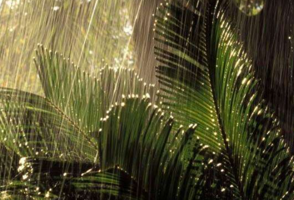 冷空气东移南下 长沙未来一周雨水几乎天天见