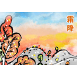 今日霜降！补冬不如补霜降 这份养生指南请收藏！