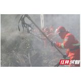 武警湘潭支队参加“莲城应急-2020·森林防灭火”综合演练