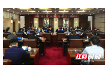 湖南省“互联网+监督”特色子系统  （村级小微权力监督）现场观摩会召开