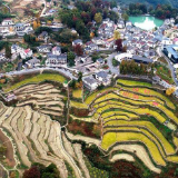 美丽山村开启金秋画卷