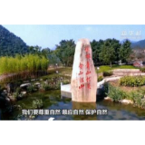 十四五·新开局|绿色之韵