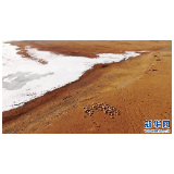 雪后青海湖