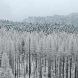 四川绵竹：冰雪美如画