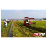 回眸“十三五”丨涟源：逐梦新时代的田野