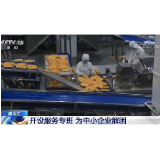 为中小企业解困 服务专班开起来