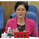海南检察机关依法对张家慧涉嫌受贿、行政枉法裁判、诈骗案提起公诉