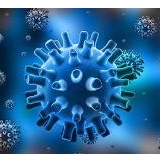 全美新冠肺炎确诊超9000例，单日新增2769例