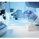 湖北下发通知：全省范围内认可外省健康码