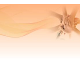 患难见真情 共同抗疫情(国际视野)