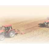 支农出实招 惠农到地头（统筹抓好改革发展稳定各项工作）