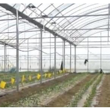 全国“菜篮子”产品供应总量充足 市场运行总体平稳