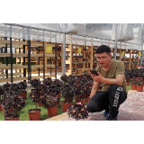 当直播成为一种新农活儿