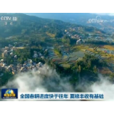 全国春耕进度快于往年 夏粮丰收有基础