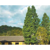 美丽乡村 宜业宜居（统筹抓好改革发展稳定各项工作）