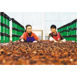 脱贫之后再攻坚