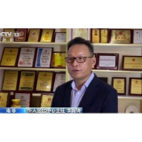 海外华人华侨支持全国人大涉港议程