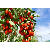 大补补补补补补补补补补补补补呀!