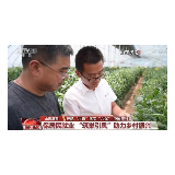 中国在行动 | 各地实施多项举措 全力推进实现全年经济社会发展目标