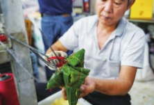安全出行，健康过节！攻略来了，一起“粽”情端午吧