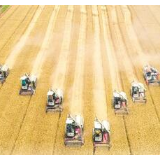 今年全国粮食产量预计达6.7亿吨