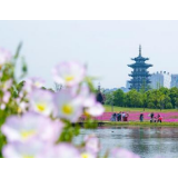优秀！长沙再获中央文明办通报表扬