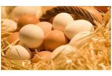 女生微博抽奖中了1.4万个鸡蛋 每天吃两个要吃19年