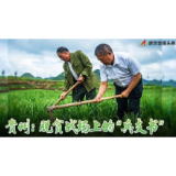 在这个“战场”，他们大显身手！