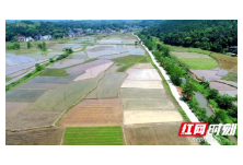 湿地巡礼②丨衡阳石鼓区：“泥巴塘”变“景区”，村民实现家门口就业