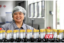 乘风破浪的民企丨龙牌食品：老字号的“云”计划