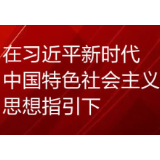 “精细农业”正崛起——着力推进农业现代化的湖南实践