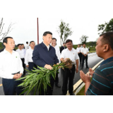 第一观察 | 为了这件大事，总书记开了第六场座谈会