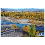 青河秋色