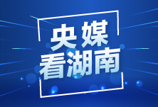 新华网丨杂交水稻新技术实现全程机械化制种